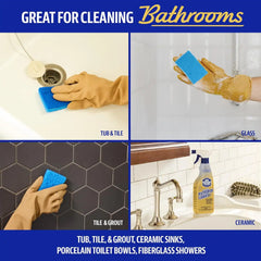 Bar Keepers Friend MORE Spray + Foam Multipurpose Cleaner, 25.4 oz x 2, Surface Cleaner Removes Rust Stains, Mineral Deposits, Soap Scum, Grime & Tarnish